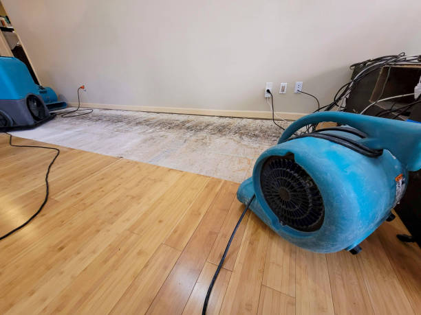 Professional Flood Damage Cleanup technician working in Lee, ME